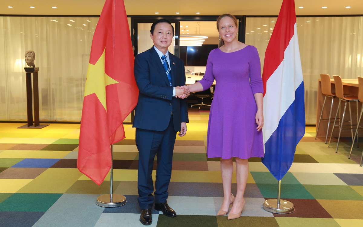 Vietnam and Netherlands vow to develop comprehensive partnership substantively